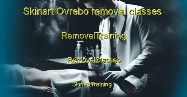 Skinart Ovrebo removal classes | RemovalTraining | RemovalClasses | SkinartTraining-Norway