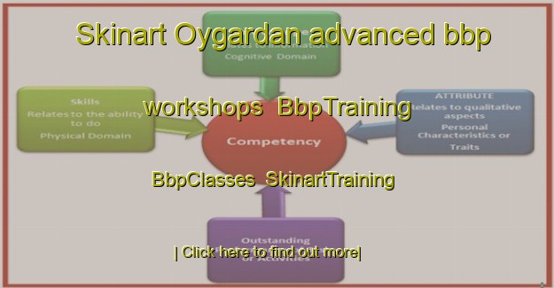 Skinart Oygardan advanced bbp workshops | BbpTraining | BbpClasses | SkinartTraining-Norway