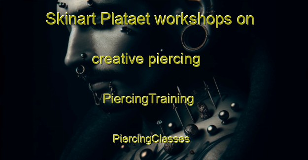 Skinart Plataet workshops on creative piercing | PiercingTraining | PiercingClasses | SkinartTraining-Norway