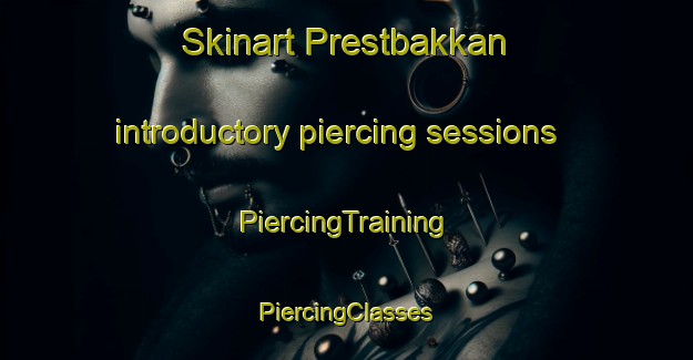 Skinart Prestbakkan introductory piercing sessions | #PiercingTraining #PiercingClasses #SkinartTraining-Norway