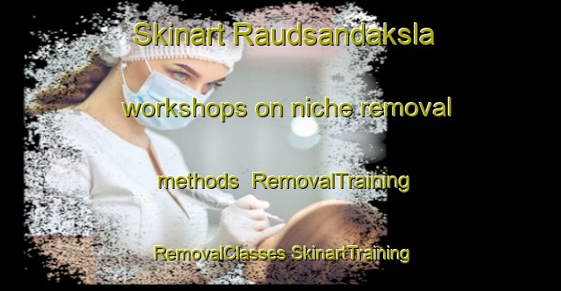 Skinart Raudsandaksla workshops on niche removal methods | #RemovalTraining #RemovalClasses #SkinartTraining-Norway