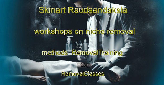 Skinart Raudsandaksla workshops on niche removal methods | RemovalTraining | RemovalClasses | SkinartTraining-Norway