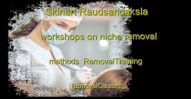 Skinart Raudsandaksla workshops on niche removal methods | RemovalTraining | RemovalClasses | SkinartTraining-Norway