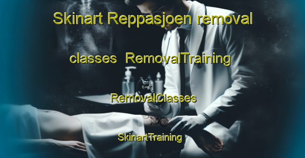 Skinart Reppasjoen removal classes | RemovalTraining | RemovalClasses | SkinartTraining-Norway