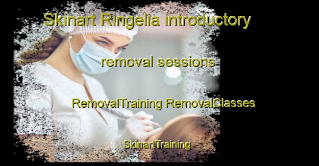 Skinart Ringelia introductory removal sessions | #RemovalTraining #RemovalClasses #SkinartTraining-Norway