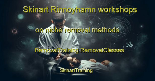 Skinart Rinnoyhamn workshops on niche removal methods | #RemovalTraining #RemovalClasses #SkinartTraining-Norway