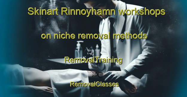 Skinart Rinnoyhamn workshops on niche removal methods | RemovalTraining | RemovalClasses | SkinartTraining-Norway