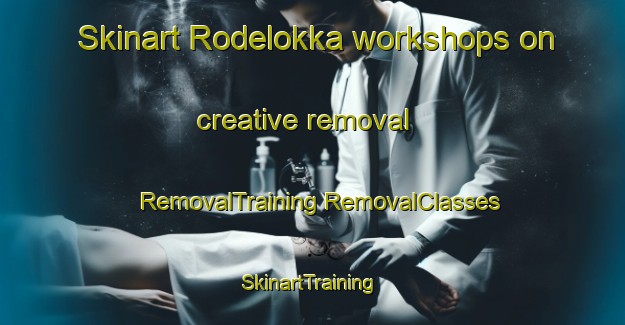 Skinart Rodelokka workshops on creative removal | #RemovalTraining #RemovalClasses #SkinartTraining-Norway