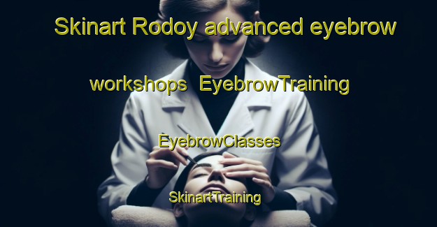 Skinart Rodoy advanced eyebrow workshops | EyebrowTraining | EyebrowClasses | SkinartTraining-Norway