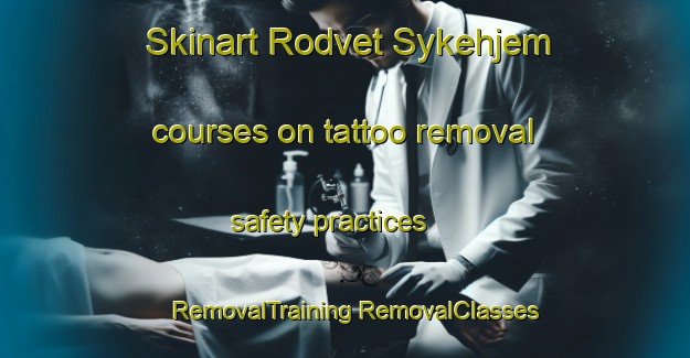 Skinart Rodvet Sykehjem courses on tattoo removal safety practices | #RemovalTraining #RemovalClasses #SkinartTraining-Norway