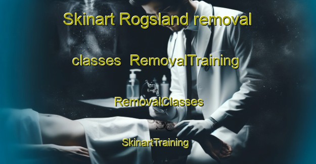 Skinart Rogsland removal classes | RemovalTraining | RemovalClasses | SkinartTraining-Norway