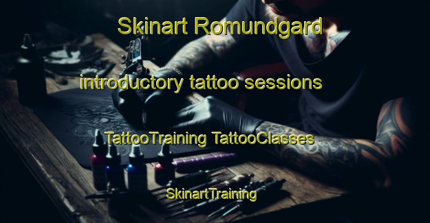 Skinart Romundgard introductory tattoo sessions | #TattooTraining #TattooClasses #SkinartTraining-Norway