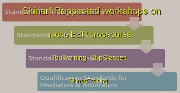 Skinart Roppestad workshops on niche BBP procedures | BbpTraining | BbpClasses | SkinartTraining-Norway