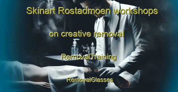 Skinart Rostadmoen workshops on creative removal | RemovalTraining | RemovalClasses | SkinartTraining-Norway