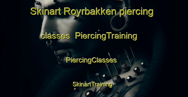Skinart Royrbakken piercing classes | PiercingTraining | PiercingClasses | SkinartTraining-Norway