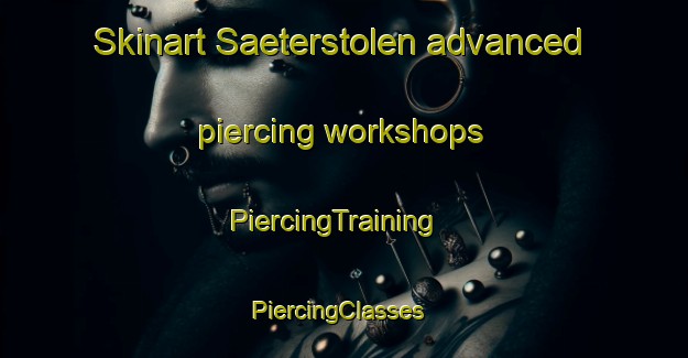 Skinart Saeterstolen advanced piercing workshops | PiercingTraining | PiercingClasses | SkinartTraining-Norway