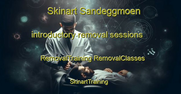 Skinart Sandeggmoen introductory removal sessions | #RemovalTraining #RemovalClasses #SkinartTraining-Norway