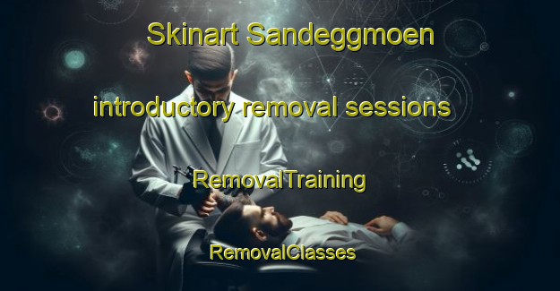Skinart Sandeggmoen introductory removal sessions | RemovalTraining | RemovalClasses | SkinartTraining-Norway