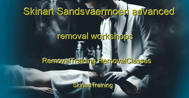 Skinart Sandsvaermoen advanced removal workshops | #RemovalTraining #RemovalClasses #SkinartTraining-Norway