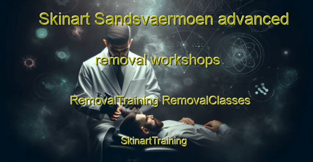 Skinart Sandsvaermoen advanced removal workshops | #RemovalTraining #RemovalClasses #SkinartTraining-Norway