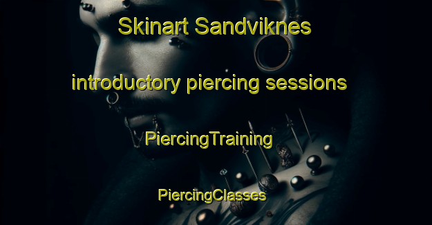 Skinart Sandviknes introductory piercing sessions | PiercingTraining | PiercingClasses | SkinartTraining-Norway