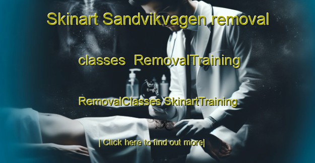 Skinart Sandvikvagen removal classes | #RemovalTraining #RemovalClasses #SkinartTraining-Norway