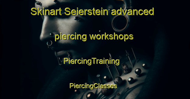 Skinart Seierstein advanced piercing workshops | PiercingTraining | PiercingClasses | SkinartTraining-Norway