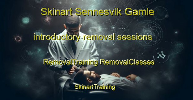 Skinart Sennesvik Gamle introductory removal sessions | #RemovalTraining #RemovalClasses #SkinartTraining-Norway