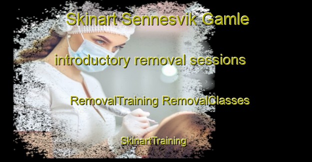 Skinart Sennesvik Gamle introductory removal sessions | #RemovalTraining #RemovalClasses #SkinartTraining-Norway