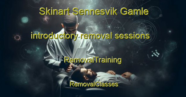 Skinart Sennesvik Gamle introductory removal sessions | RemovalTraining | RemovalClasses | SkinartTraining-Norway