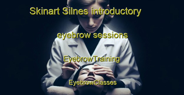 Skinart Silnes introductory eyebrow sessions | EyebrowTraining | EyebrowClasses | SkinartTraining-Norway