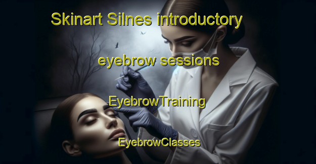 Skinart Silnes introductory eyebrow sessions | EyebrowTraining | EyebrowClasses | SkinartTraining-Norway