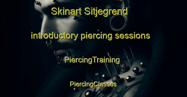 Skinart Sitjegrend introductory piercing sessions | #PiercingTraining #PiercingClasses #SkinartTraining-Norway