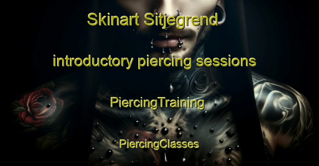 Skinart Sitjegrend introductory piercing sessions | #PiercingTraining #PiercingClasses #SkinartTraining-Norway