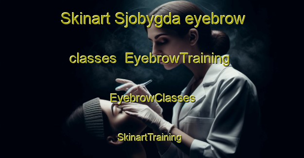 Skinart Sjobygda eyebrow classes | EyebrowTraining | EyebrowClasses | SkinartTraining-Norway