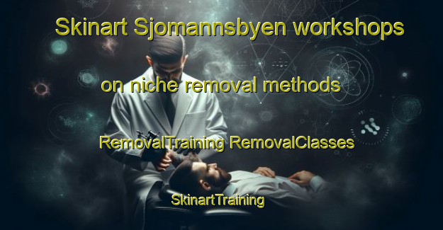 Skinart Sjomannsbyen workshops on niche removal methods | #RemovalTraining #RemovalClasses #SkinartTraining-Norway