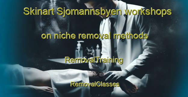 Skinart Sjomannsbyen workshops on niche removal methods | RemovalTraining | RemovalClasses | SkinartTraining-Norway