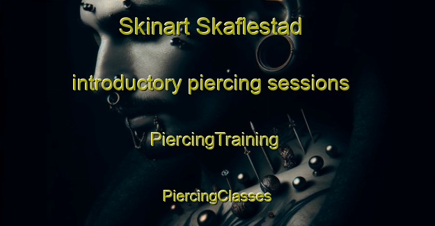 Skinart Skaflestad introductory piercing sessions | #PiercingTraining #PiercingClasses #SkinartTraining-Norway