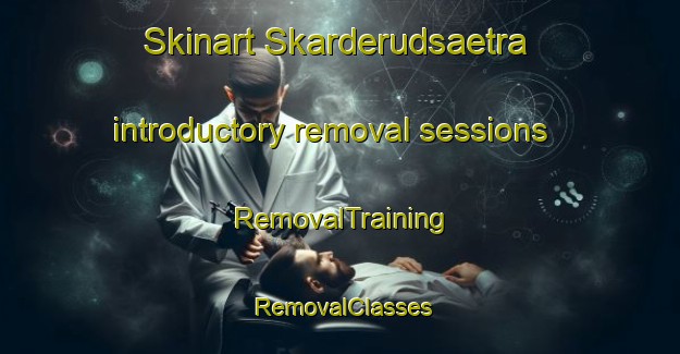 Skinart Skarderudsaetra introductory removal sessions | RemovalTraining | RemovalClasses | SkinartTraining-Norway