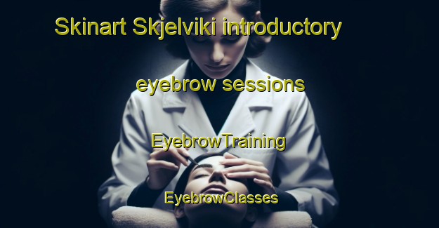Skinart Skjelviki introductory eyebrow sessions | EyebrowTraining | EyebrowClasses | SkinartTraining-Norway