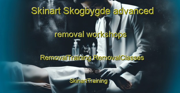 Skinart Skogbygde advanced removal workshops | #RemovalTraining #RemovalClasses #SkinartTraining-Norway