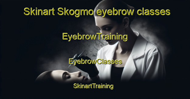 Skinart Skogmo eyebrow classes | EyebrowTraining | EyebrowClasses | SkinartTraining-Norway