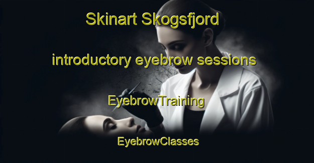 Skinart Skogsfjord introductory eyebrow sessions | EyebrowTraining | EyebrowClasses | SkinartTraining-Norway