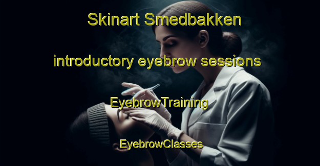 Skinart Smedbakken introductory eyebrow sessions | EyebrowTraining | EyebrowClasses | SkinartTraining-Norway