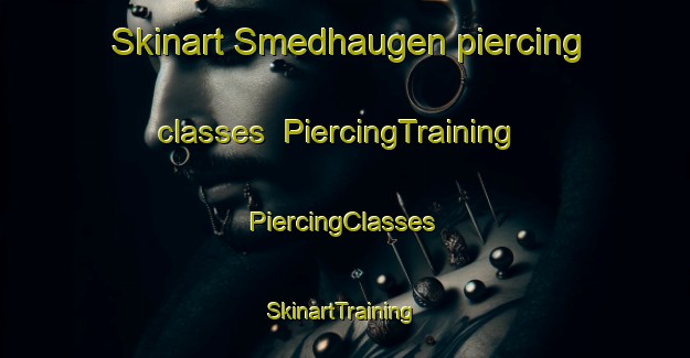 Skinart Smedhaugen piercing classes | #PiercingTraining #PiercingClasses #SkinartTraining-Norway