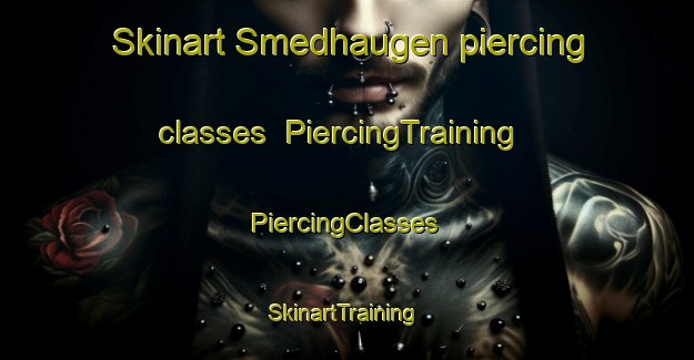 Skinart Smedhaugen piercing classes | #PiercingTraining #PiercingClasses #SkinartTraining-Norway