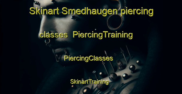 Skinart Smedhaugen piercing classes | PiercingTraining | PiercingClasses | SkinartTraining-Norway