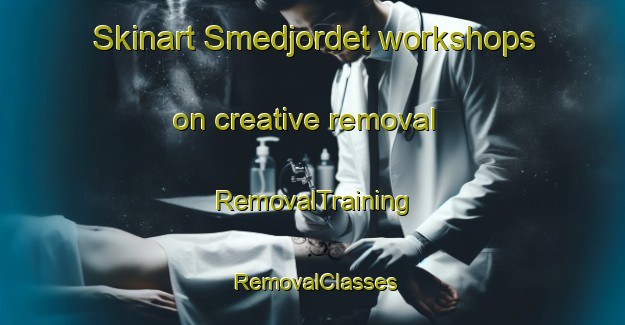 Skinart Smedjordet workshops on creative removal | RemovalTraining | RemovalClasses | SkinartTraining-Norway