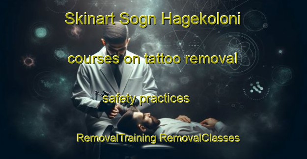 Skinart Sogn Hagekoloni courses on tattoo removal safety practices | #RemovalTraining #RemovalClasses #SkinartTraining-Norway