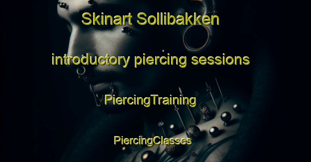 Skinart Sollibakken introductory piercing sessions | PiercingTraining | PiercingClasses | SkinartTraining-Norway
